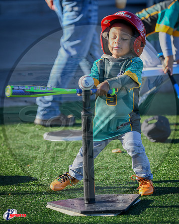i9 Sports Lakewood Fall Teams-39