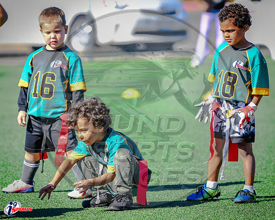 i9 Sports Lakewood Fall Teams-250