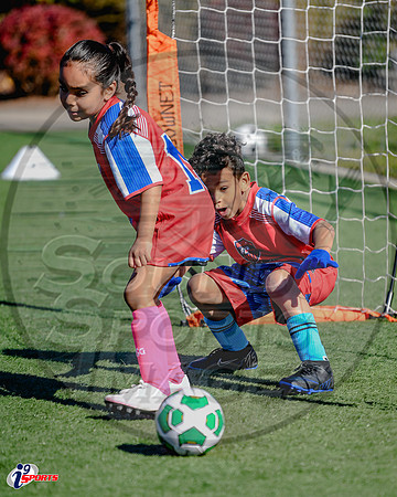 i9 Sports Lakewood Fall Teams-154
