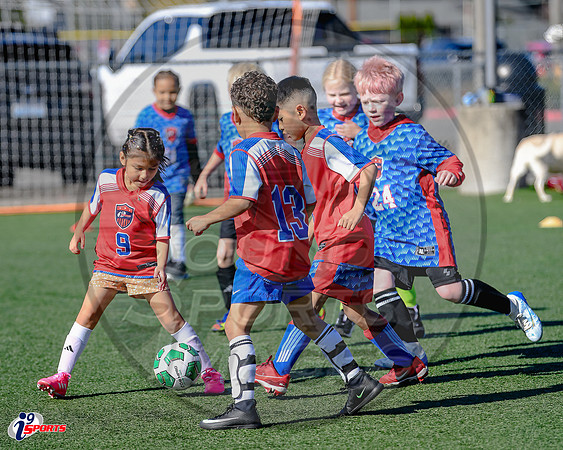 i9 Sports Lakewood Fall Teams-148