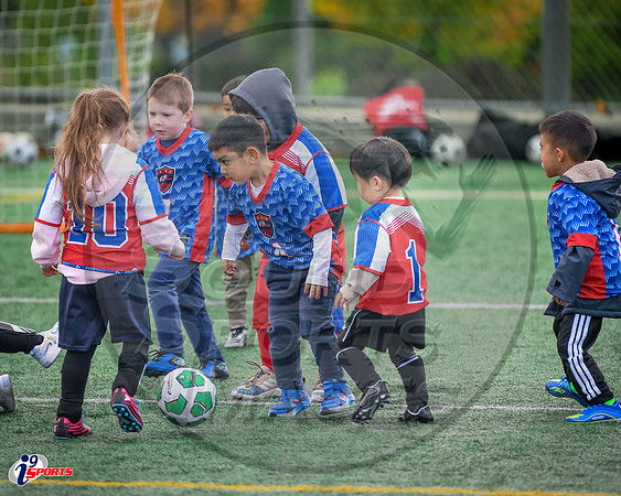 i9 Sports Lakewood Fall Teams-127