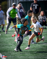 i9 Sports Lakewood Fall Teams-283