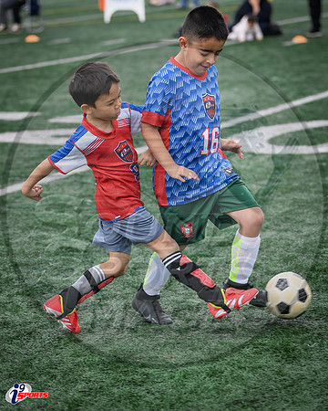 i9 Sports Lakewood Fall Teams-185